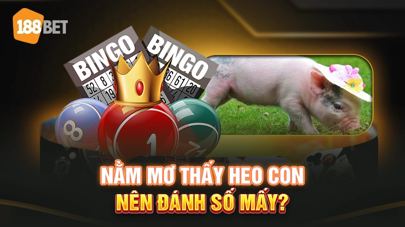 Mơ thấy heo con đánh số mấy dễ trúng