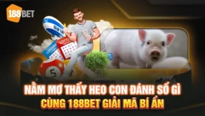 nằm mơ thấy heo con đánh số gì