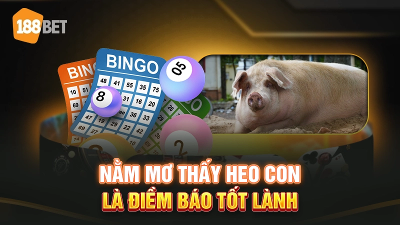 Năm mơ thấy heo con là điềm báo gì